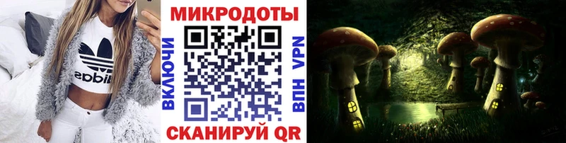 kraken tor Бородино Псилоцибиновые грибы мицелий